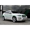 Кенгурятник WT003 (нерж.) 60мм для BMW X6 E-71 2008-2014