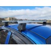 Перемички на гладкий дах (2 шт, TrophyBars) для Chevrolet Aveo T250 2005-2011 - 63673-11