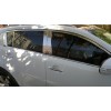 Молдинг дверних стійок (6 шт, нерж.) для Ford Fiesta 2008-2017