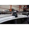 Перемички на гладкий дах (2 шт., TrophyBars) для Hyundai Matrix - 63706-11