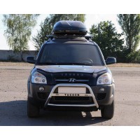 Кенгурятник WT025 (нерж.) для Hyundai Tucson JM 2004+