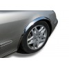 Накладки на арки (4 шт, нерж) для Mercedes S-сlass W220 - 80259-11