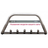 Кенгурятник WT004 (нерж) для Mitsubishi ASX 2010+/2016+