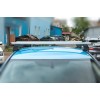 Автобагажник для гладкого даху (хром, пара) для Nissan Leaf 2010-2017