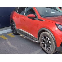 Молдинг дверной (4 шт, нерж) для Peugeot 2008 2019+