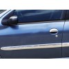 Молдинг дверний (4 шт, нерж) для Peugeot 206 - 48732-11