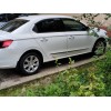 Окантовка стекол (нерж) 6 шт, Carmos (с квартиркой) для Peugeot 301
