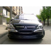 Передняя нижняя накладка (под покраску) для Peugeot 307 2001-2008 гг