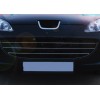Накладки на решетку (3 шт, нерж) OmsaLine - Итальянская нержавейка для Peugeot 407 - 48754-11