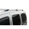 Рейлінги хром Стандартна база, Чавунні ніжки для Renault Kangoo 2008-2020