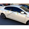 Полная окантовка стекол (Sedan, 12 шт, нерж.) Carmos - Турецкая сталь для Renault Megane IV 2016+ - 57348-11