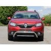 Передня дуга WT007 (нерж.) для Renault Sandero 2013+
