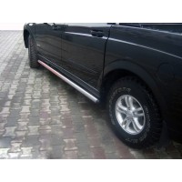 Бічні труби (2 шт, нерж) для SsangYong Action 2006+