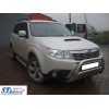 Кенгурятник WT002 (нерж.) для Subaru Forester 2008-2013