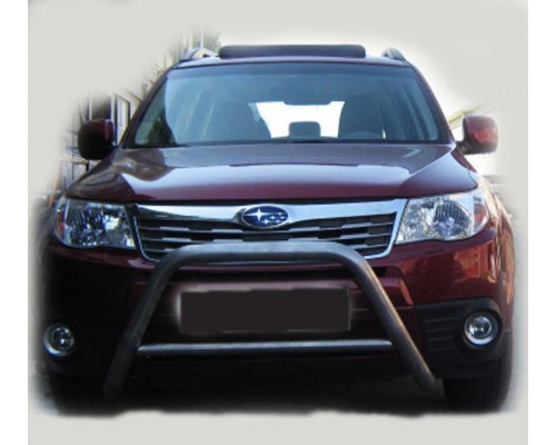 Кенгурятник WT005 (нерж.) для Subaru Forester 2008-2013