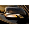 Смужки на дзеркала 2012-2021 (2 шт, хром) для Toyota Land Cruiser 200 - 60591-11