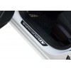 Накладки на пороги (Dotline, 4 шт, нерж) для Volkswagen Passat B6 2006-2012 гг