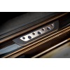 Накладки на пороги (Dotline, 4 шт, нерж) для Volkswagen Passat B7 2012-2015 гг