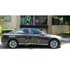 Volkswagen Passat B8 2015+ Молдинг дверний (8 шт, нерж) Carmos - Турецька сталь - 62481-11