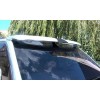 Volkswagen T5 рестайлинг 2010-2015 Козырек на лобовое стекло (под покраску) - 49400-11