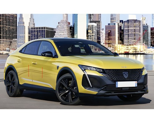 Молдинги на двери Нержавеющая сталь (4 шт) для Peugeot 408 2022- гг